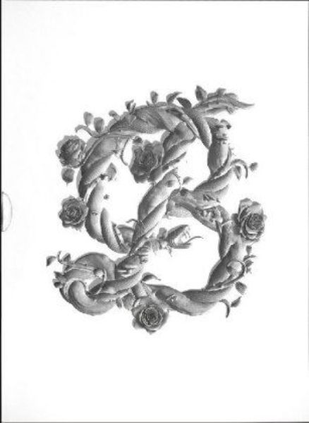 Sagmeister & Walsh: Beauty .