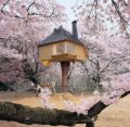 Tree Houses