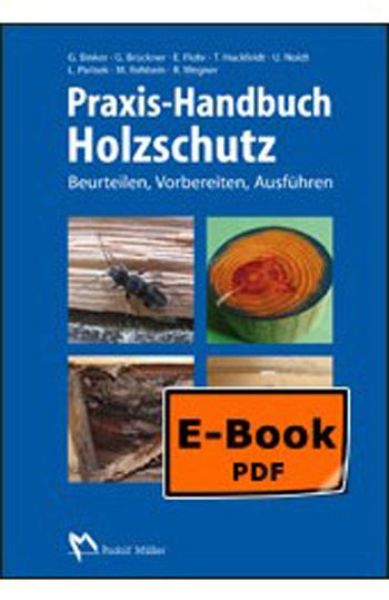 Praxis-Handbuch Holzschutz EBOOK