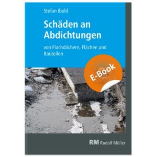 Schäden an Abdichtungen EBOOK