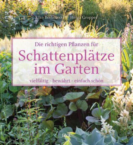 Die richtigen Pflanzen für Schattenplätze im Garten   