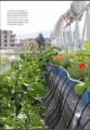 Urban Gardening   