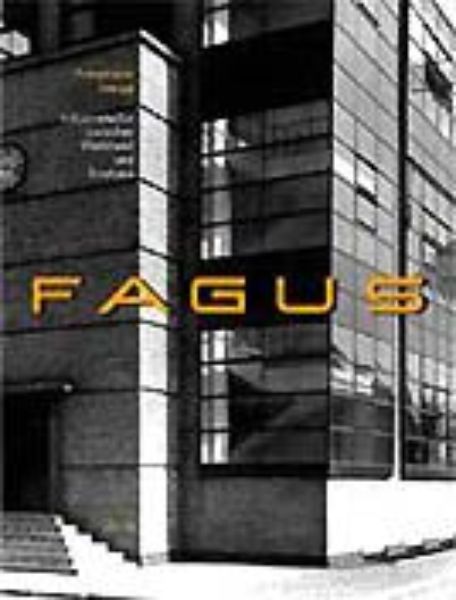 Fagus   