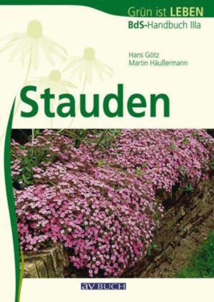 Stauden   