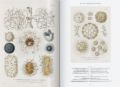 Ernst Haeckel - Kunst und Wissenschaft