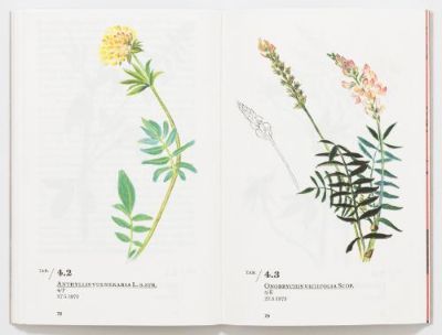 Railway Flora