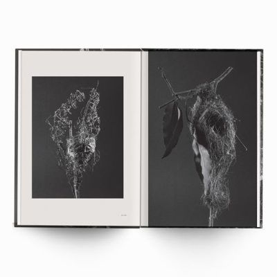 Behausungen-Fragile Architektur