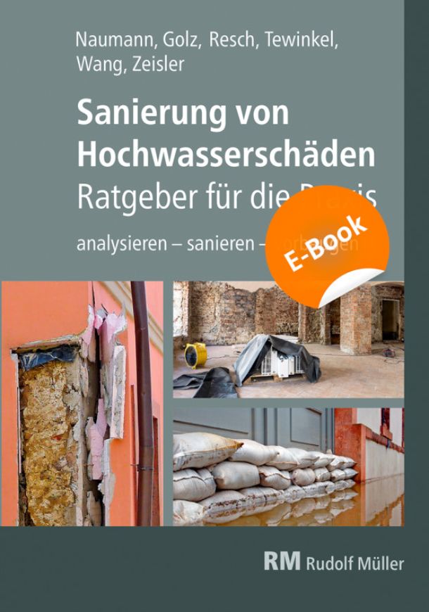 Sanierung von Hochwasserschäden - Ratgeber für die Praxis EBOOK